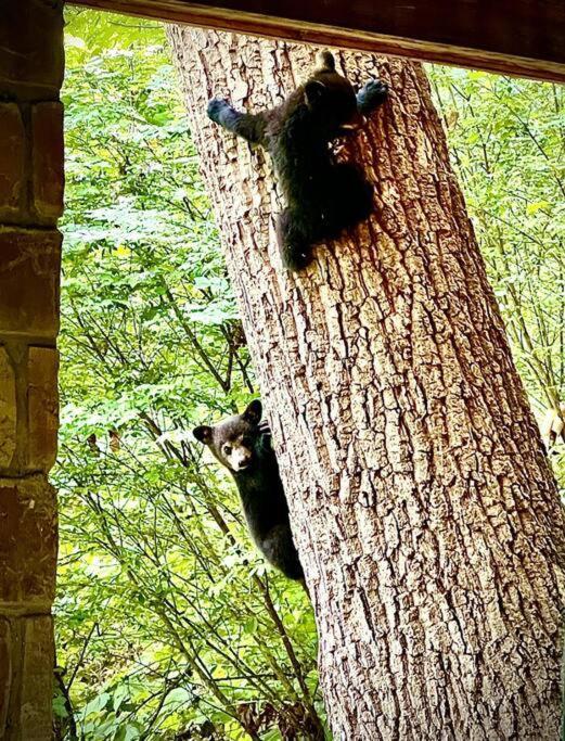 Villa Moonshine Manor-Pets Ok-W/D-Pool Table-Arcade-Hot Tub Gatlinburg Esterno foto